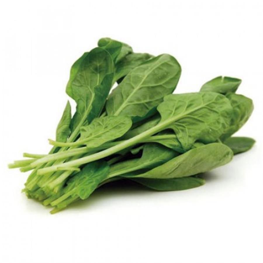 Rucula Hidroponica x Paquete