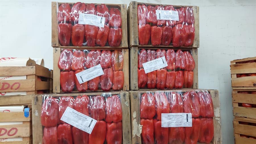 Pimiento Rojo x 4 kg $3.250 Por Kilo Aprox