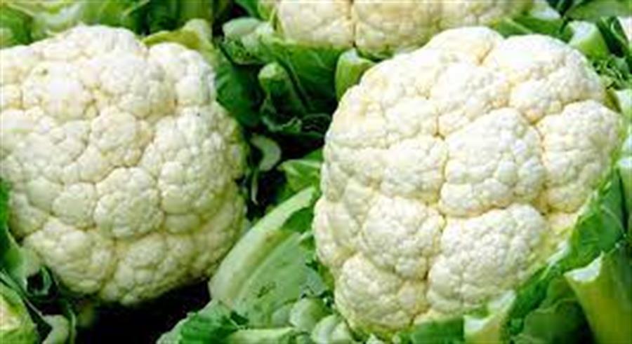 Coliflor Blanco Mediano x unidad