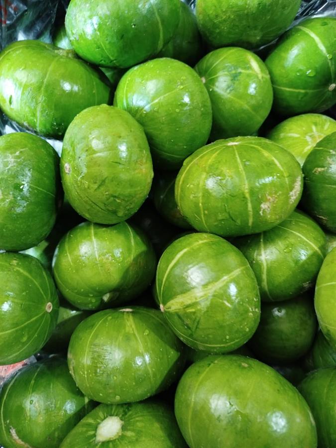 Zapallito Verde x kilo top quality