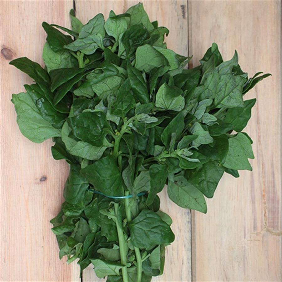 Espinaca de Verano x paquete