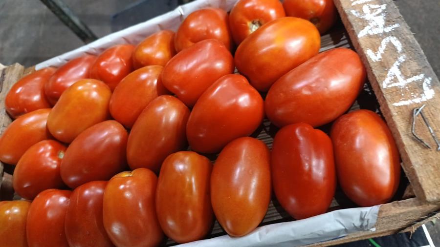 Tomate Perita Mediano 17 kg..- $2277 Por Kilo Aprox