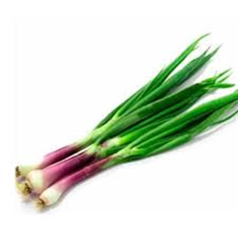 Cebolla Verdeo x 250 gr