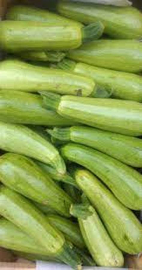 Zucchini x kilo top quality