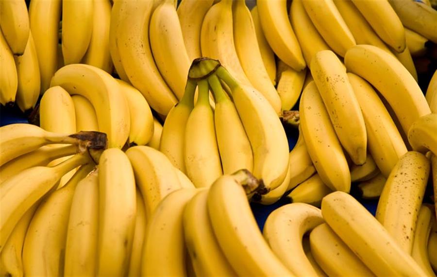 Banana Boliviana x kilo