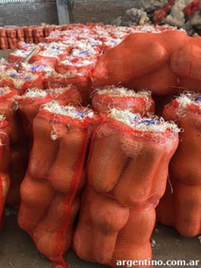 Calabacin Mediano  11 kg..- $1000 Por Kilo Aprox