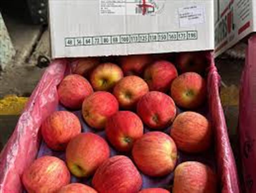 Manzana ROYAL GAJA GRANNEL MEDIANITA CAJON x 17 kg