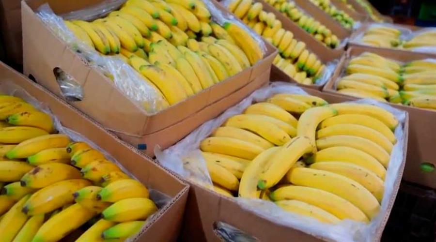 Banana Ecuador Caja x 18 kg    $2.220 Por Kilo Aprox