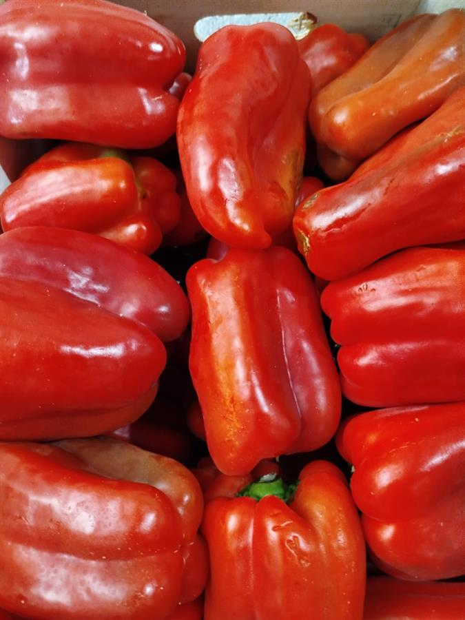 Pimiento Rojo x Unidad