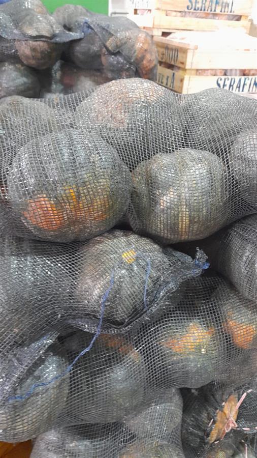Zapallo Brasilero 11 kg $1000 Por Kilo Aprox