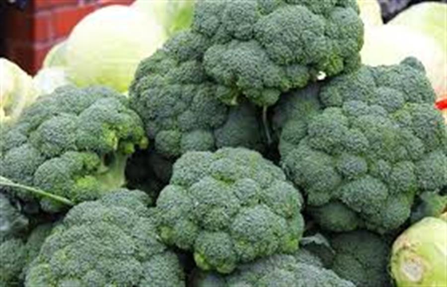 Brocoli Mediano  6 uni ..- $2166 Por Unidad Aprox