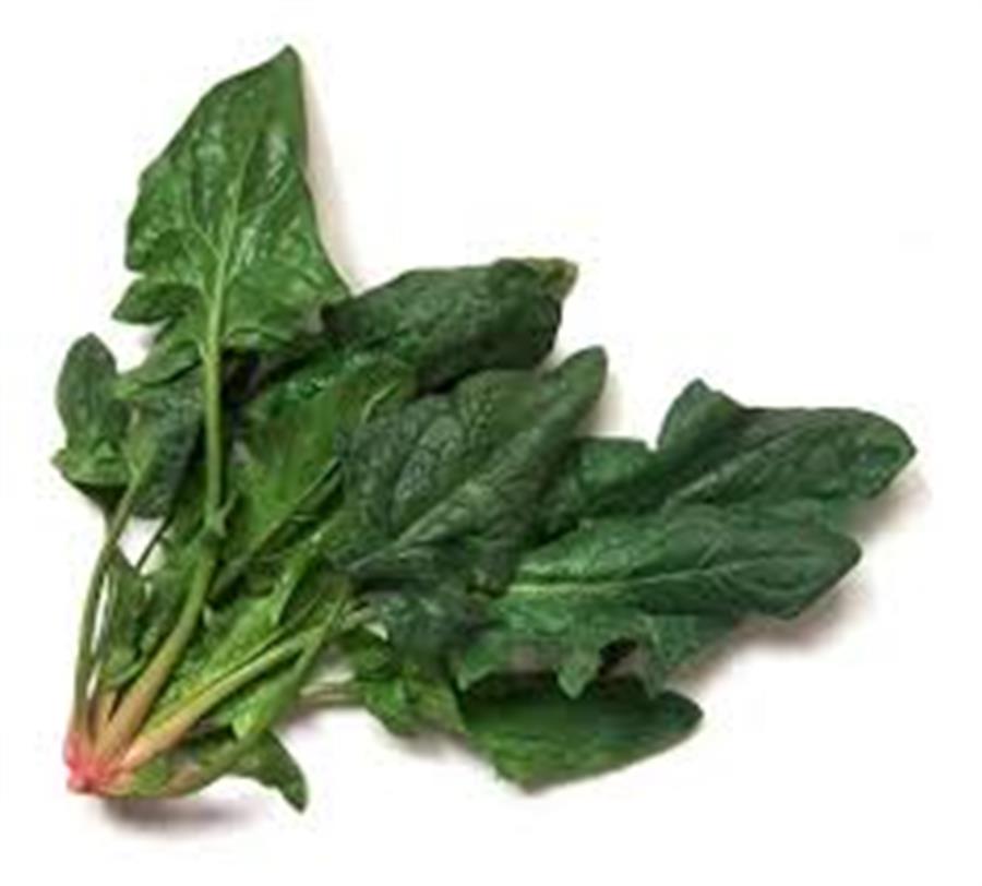 Espinaca INVIERNO x paquete
