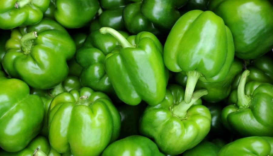 Pimiento Verde x Unidad