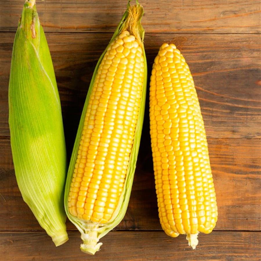 Choclo Con Chala x Unidad