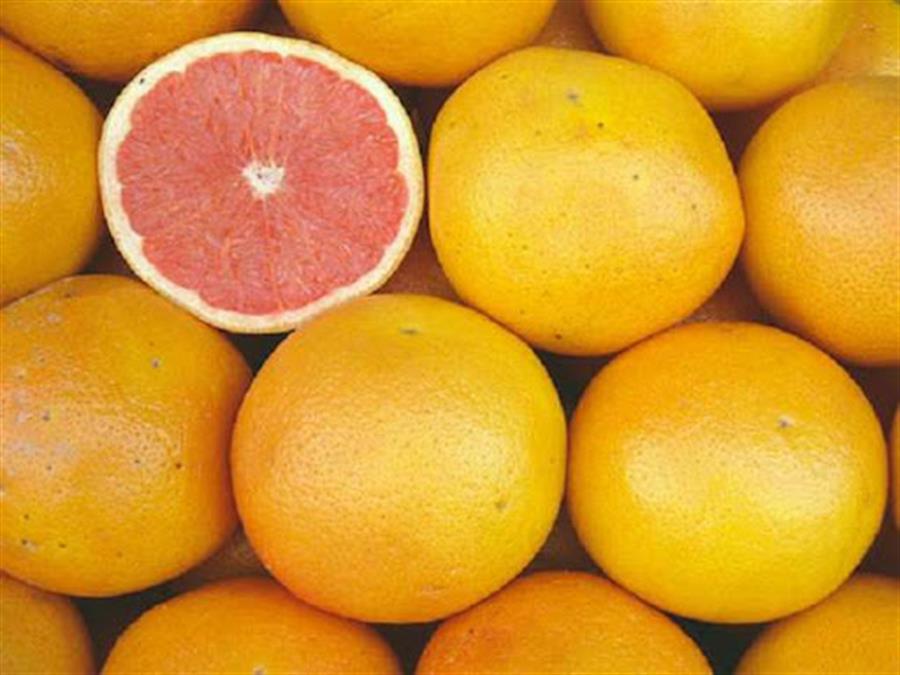 Pomelo Rojo x kilo  top quality