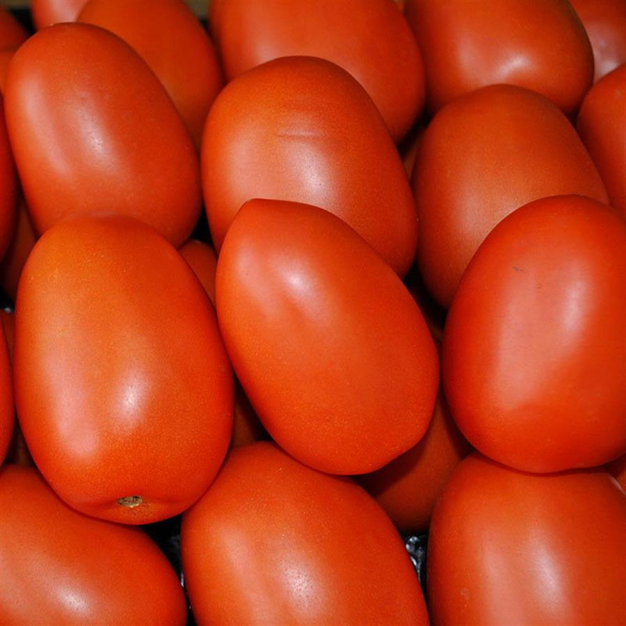 TOMATE PERITA 1RA  x kilo