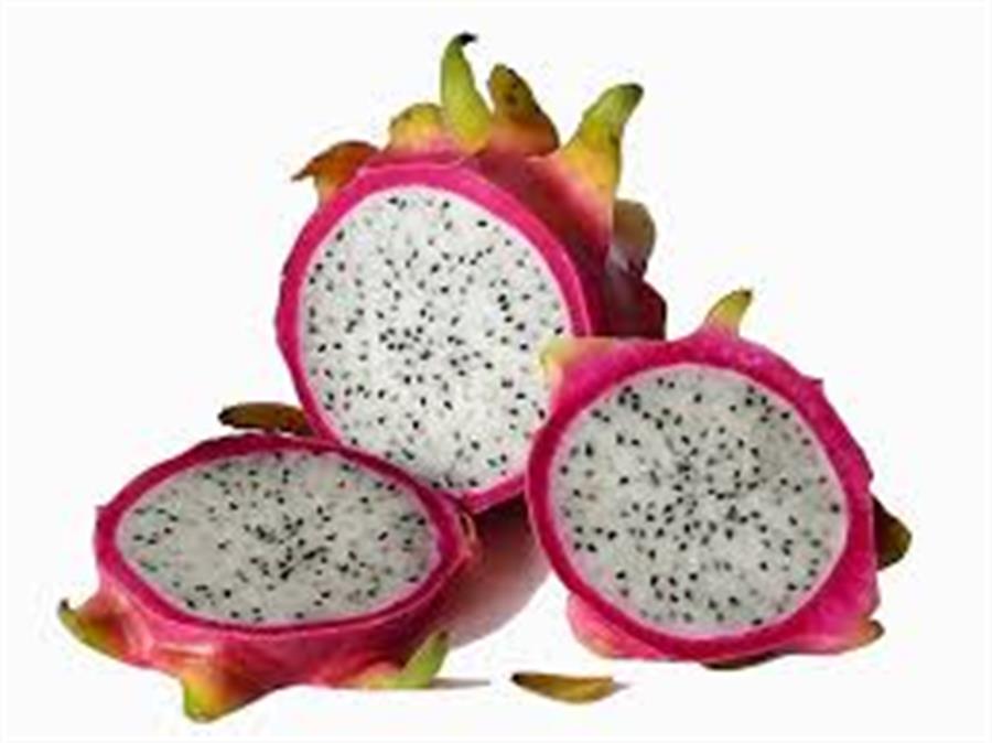 Pitahaya (fruta del Dragon) x Unidad