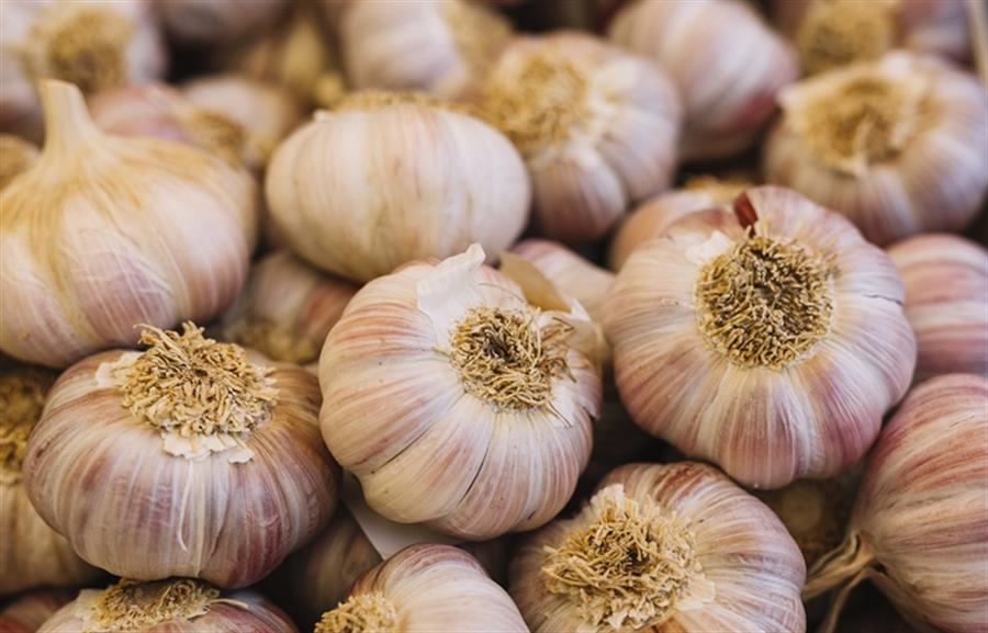 Ajo Chino Grande x unidad