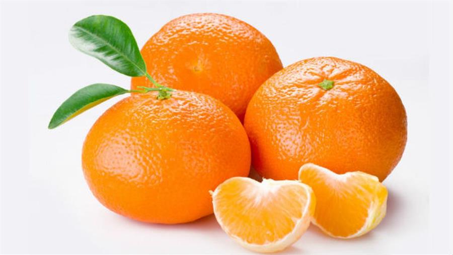 Mandarina Nova