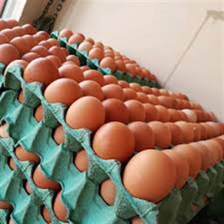 Huevos Color Mediano  6 Maples ..- $5500 Por Maple Aprox