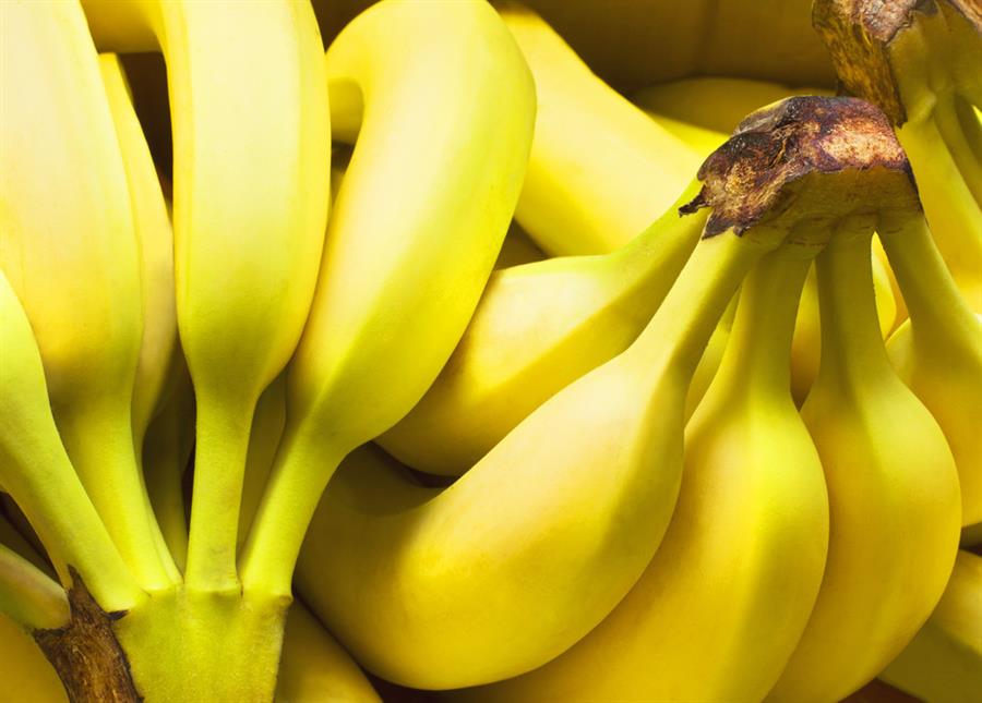 Banana Ecuador x kilo