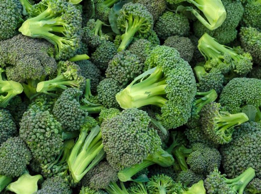 Brocoli Verde x unidad